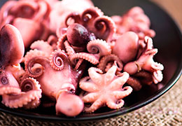 octopus